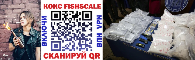 КОКАИН Fish Scale  Купить  Томмот 