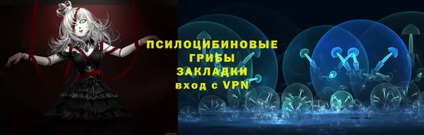 соль ск Зеленодольск