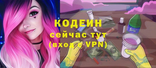 соль ск Зеленодольск