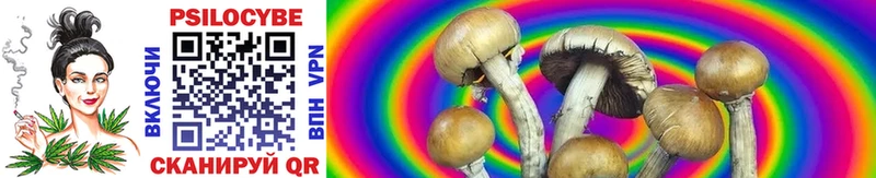 Псилоцибиновые грибы Psilocybe Томмот