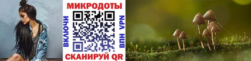 Галлюциногенные грибы ЛСД  Купить закладки  Томмот 